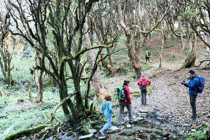 Mohare Danda Trek - Day 5: The climb to Mohare Danda