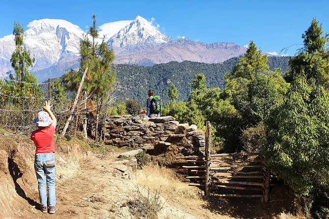 Mohare Danda Trek - Day 8: The final trail to Basari