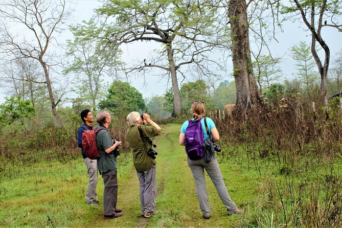 Nepal Birding - The itinerary problem you should resolve first