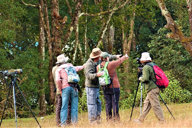 Nepal Birding - Views, village life, and more than birds