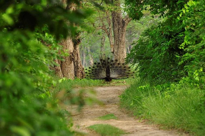 Nepal Classic Tour -12 Days - Palpa and Tansen show a smaller side of Nepal