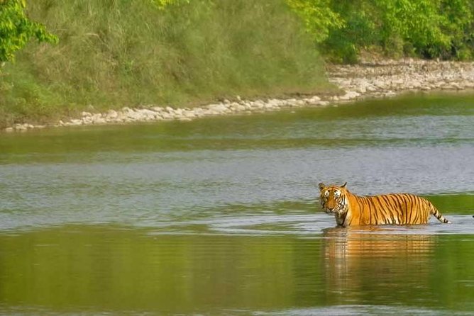 Nepal Classic Tour -12 Days - Pokhara brings the trip’s big mountain morning
