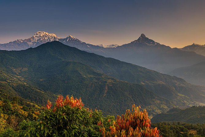 Nepal Cultural Highlights Tour in 10 Days - Days 4 and 5: Chitwan by road and river