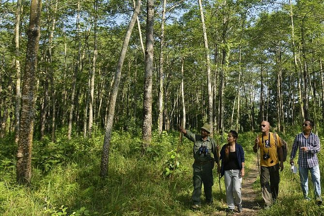 Nepal in Luxury: Kathmandu, Chitwan & Pokhara Escape – 8 Days - Chitwan safari day: wildlife without promises