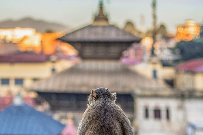 PashupatiNath and BoudhaNath - Private/Small Group - The guides and the value of personal explanation