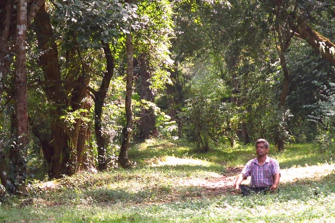Pharping Asura Cave Meditation Tour - Leaving Kathmandu in a private vehicle