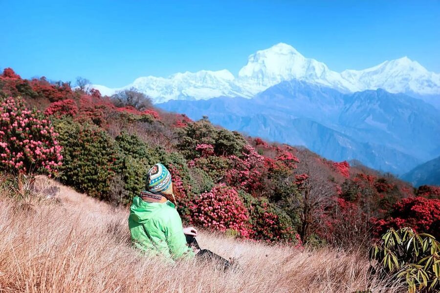Pokhara: 2 Day Ghorepani & Poon Hill Private Trekking - From Ulleri to Ghorepani through forest and farm terraces