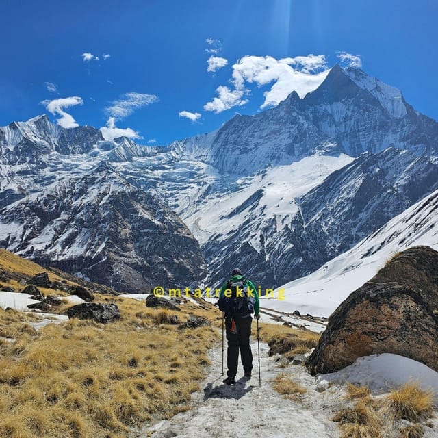 Pokhara: 5-Day Annapurna Base Camp (ABC) Trek - Day 4: Annapurna Base Camp to Bamboo
