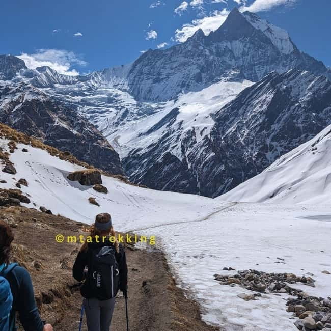 Pokhara: 5-Day Annapurna Base Camp (ABC) Trek - Tea houses, meals, and what the $136 covers