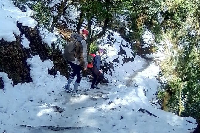 Poon Hill Trek package - Day five: downhill to Birethanti and back to Pokhara