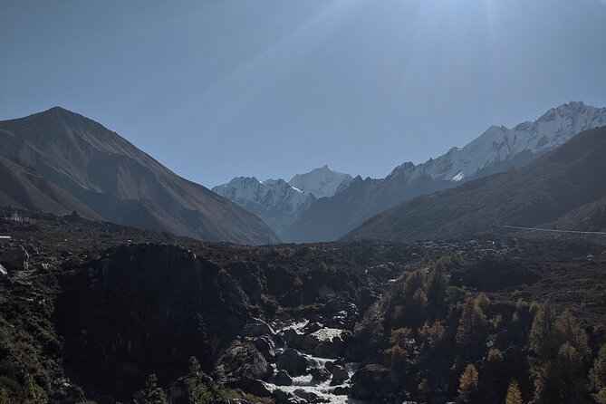 Private 8 - Day Langtang Trekking - Day 6: Returning through the forest to Lama Hotel