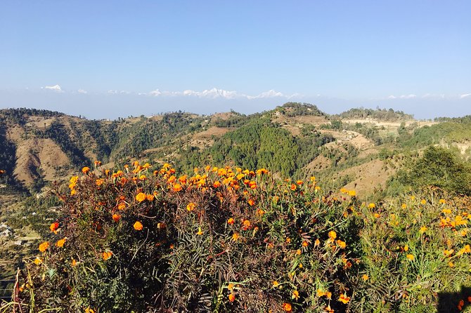 Private Day Tour - Sacred Journey to Namo Buddha - Practical advice for making the most of the visit
