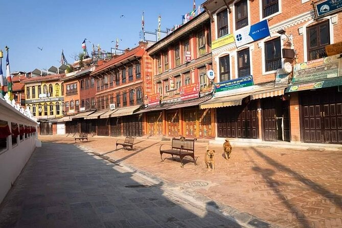 Private Tour of 4 UNESCO Heritage Sites in Kathmandu by Car - Driver-guide or dedicated guide?