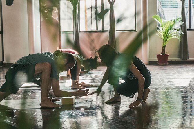 Regular Yoga for all levels of practitioners in Kathmandu - How the Vinyasa sequence works