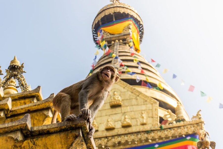 Spiritual Nepal: Expert insight into Multifaith Journey - What the $150 price includes