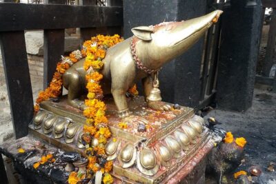 Walking tour of Kathmandu with awesome local guides